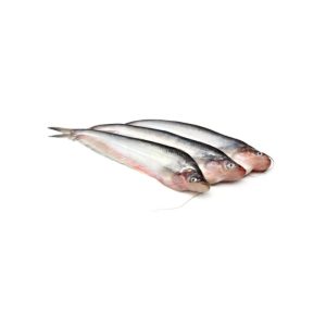 Fresh Pabda Fish