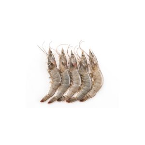 Golda Chingri (গলদা চিংড়ি)