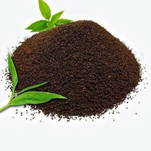 চা পাতা Tea Leaf