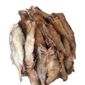 বাঁশপাতি হিদল - Bamboo leaves